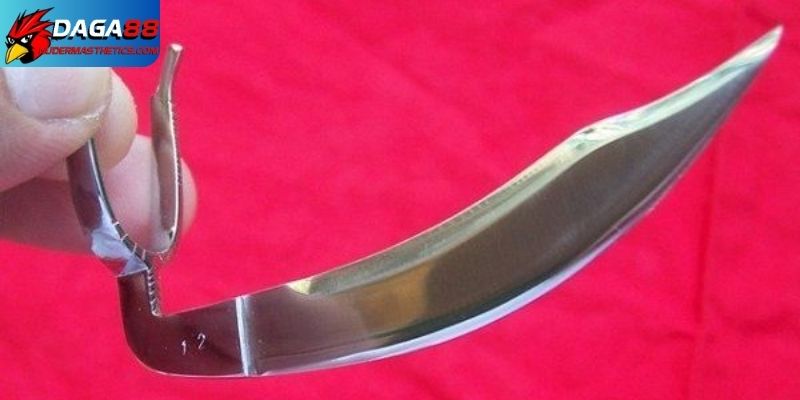 Cách lên cựa gà tre - Bí quyết tăng lực đâm cho chiến kê 6 Lưu ý quan trọng để cách lên cựa gà tre an toàn